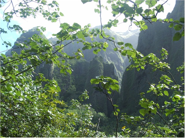 Nuku Hiva has some spectacular mountainous scenery.
