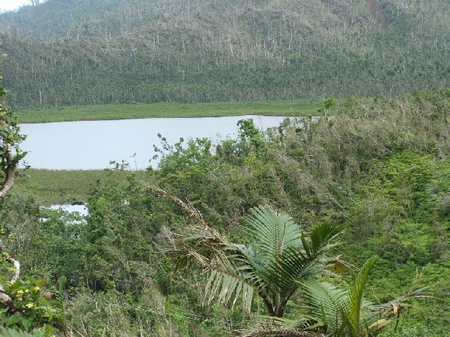We took a local bus across the island to see the interior - Grand Etang forest is still devastated.

