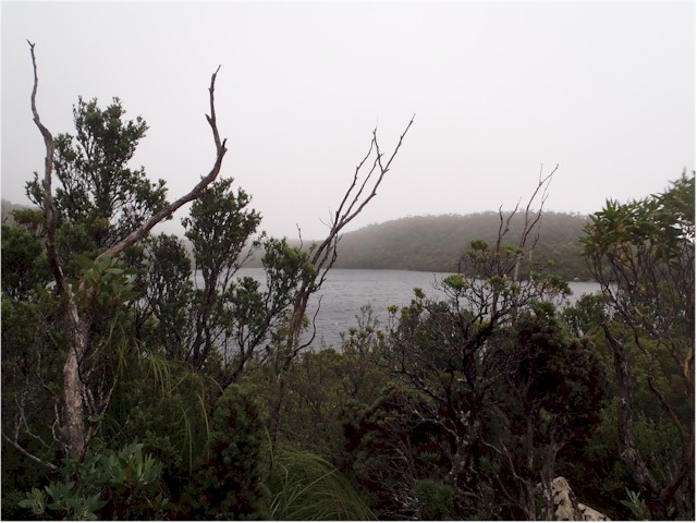 We enjoyed the Hartz Mountains - a spectacular change of scenery from northern Australia...