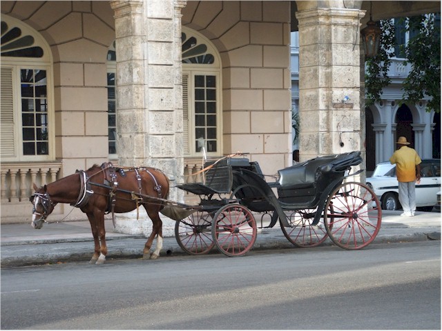 The wide variety of transportation in Havana...