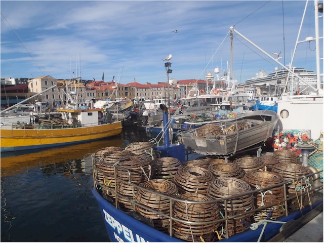 Hobart has a wonderful harbour and we enjoyed fresh fish & chips served straight from the local trawlers.

