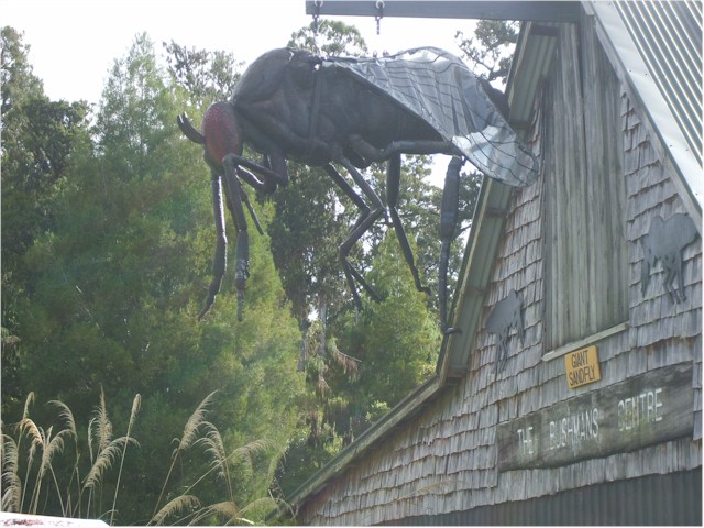 The west coast is notorious for its sandflies - we were sure we were bitten by ones this big!
