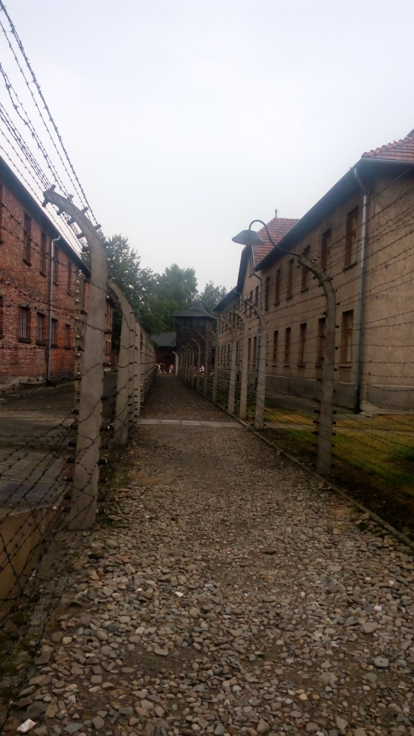 ... separated by electrified fences.
