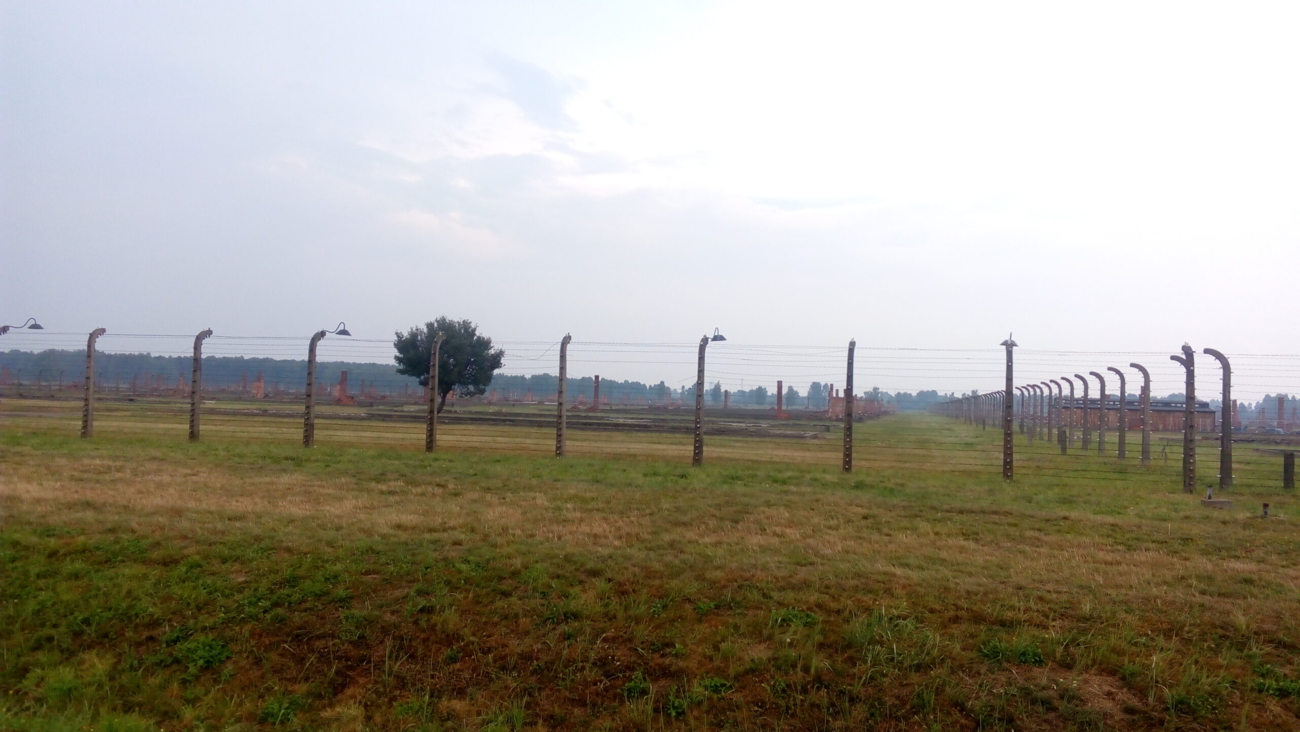 The endless rows of barracks...
