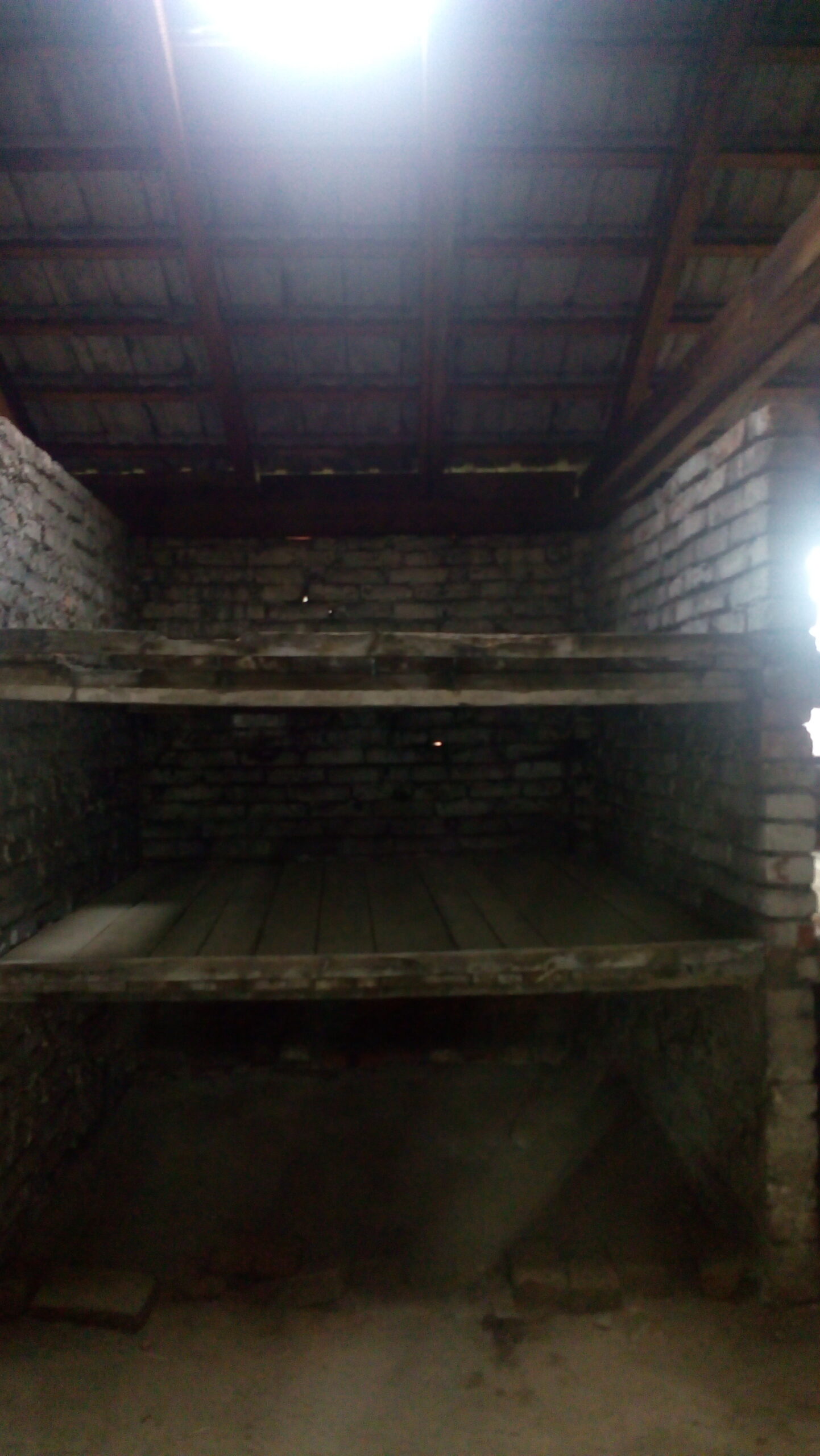 Up to six women per shelf...
