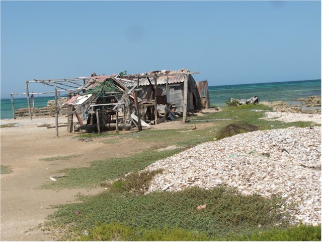 We also stopped at Isla Cubaqua - site of the first European settlement in the Americas - they were after the pearls.
