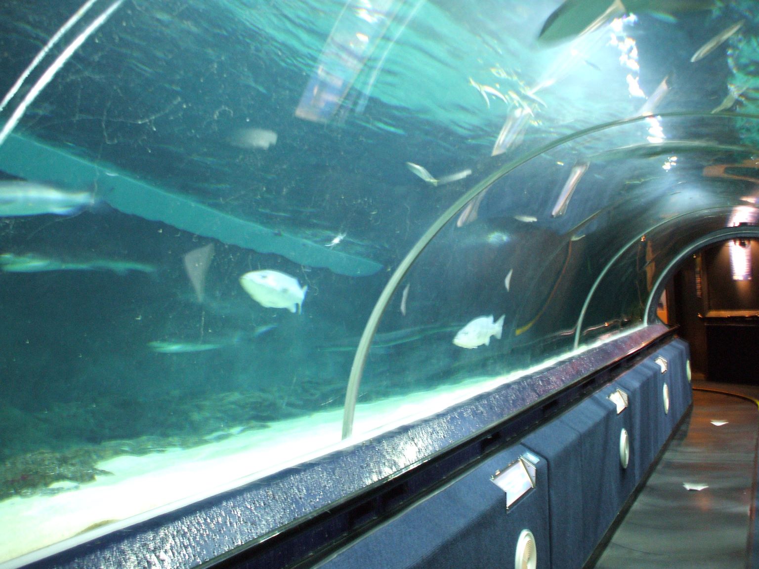 We visited Kelly Tarlton