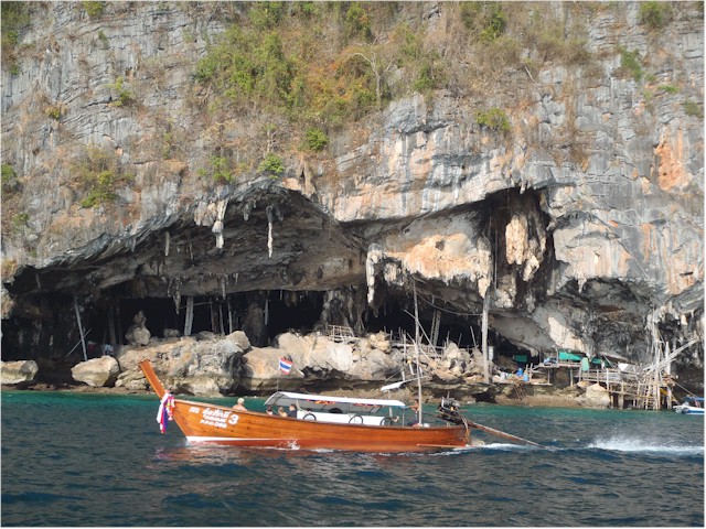 Another birds nest site...
