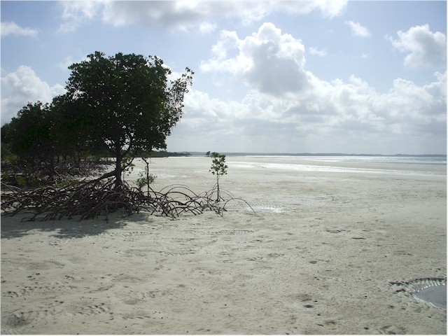 There were huge tides, though - this is at low water...