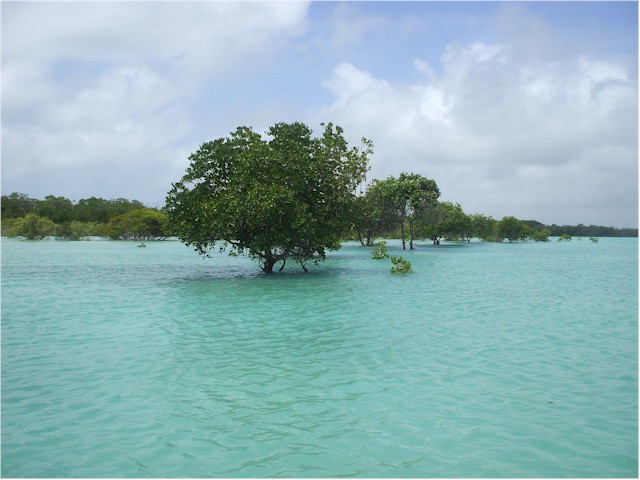 ... and the same place at high water!