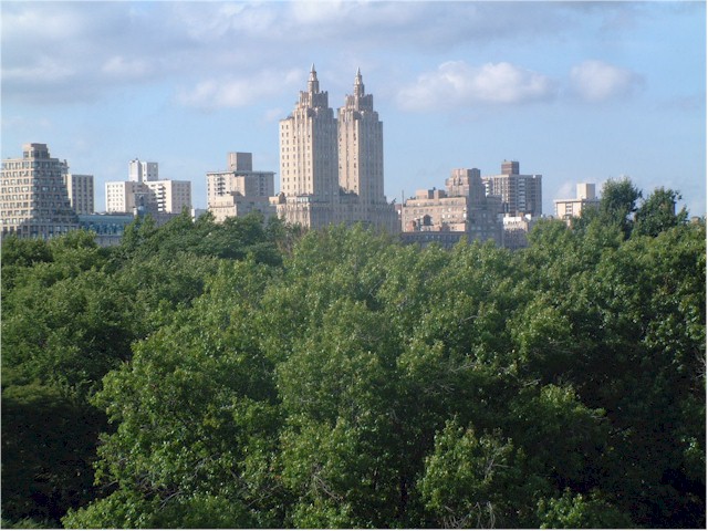 At the Metropolitan Museum of Art - view over Central Park.