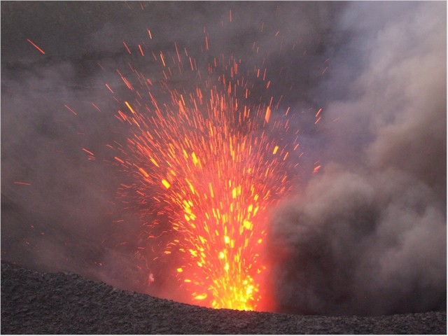 ... and get a close up demonstration of its activity...
