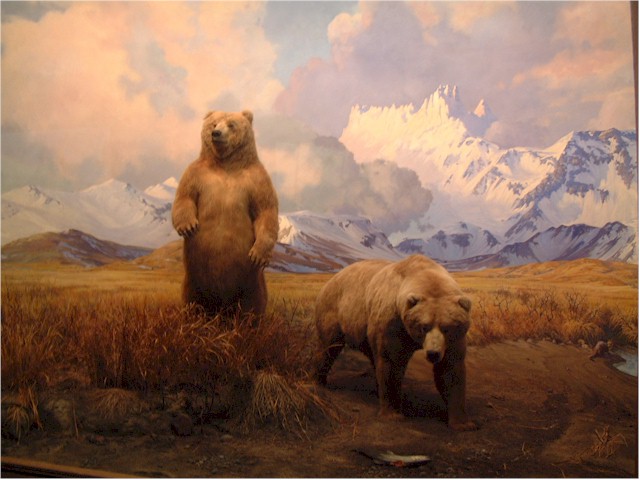 
We enjoyed the Museum of Natural History...