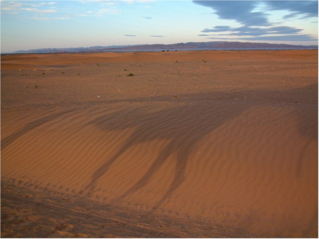 
Then it was a camel trek through the sub-Sahara to Narkhla...