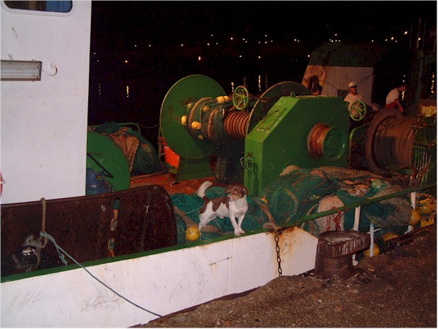 
One of the sardine boats sells its catch direct from the wharf.