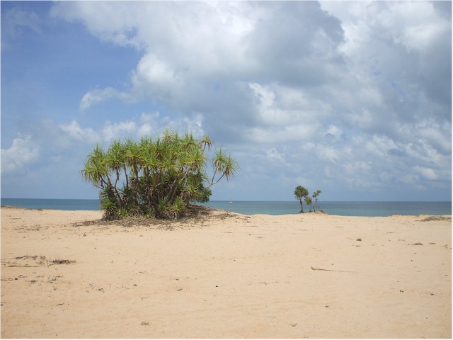 
North Goulburn Island offered an isolated walk ashore...
