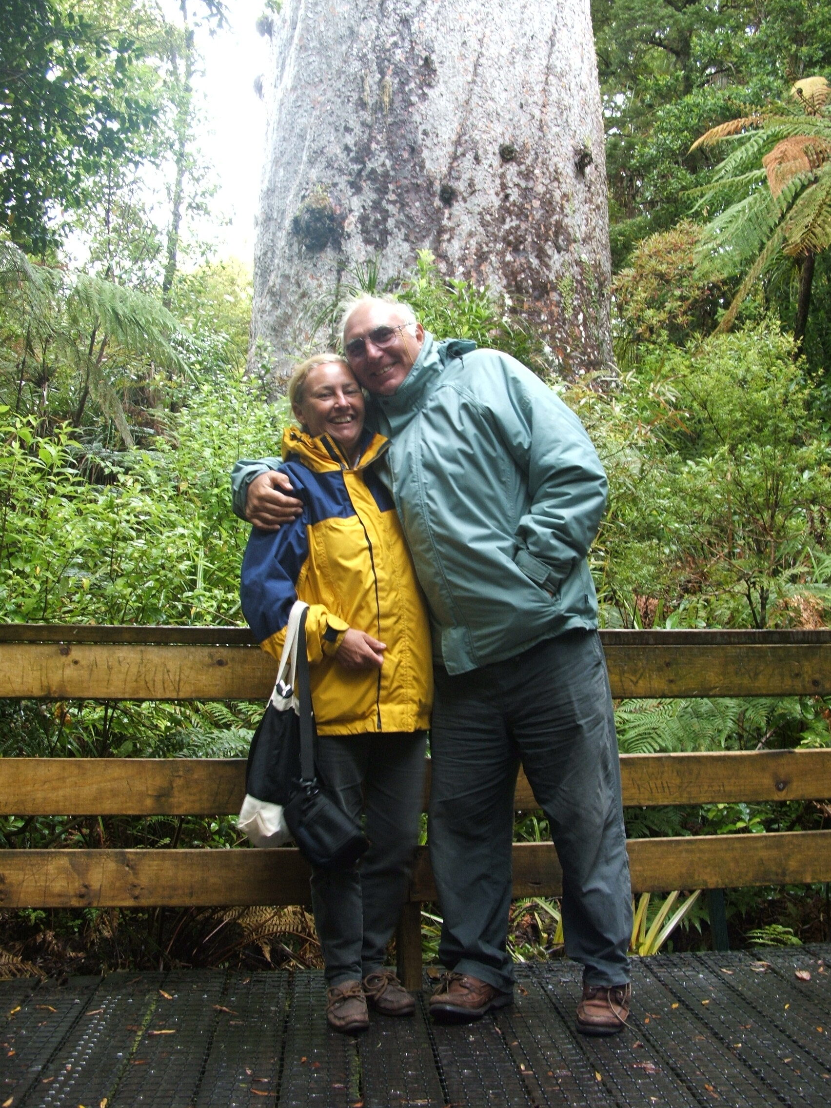 Exploring Northland  and the giant Kauri tree.
