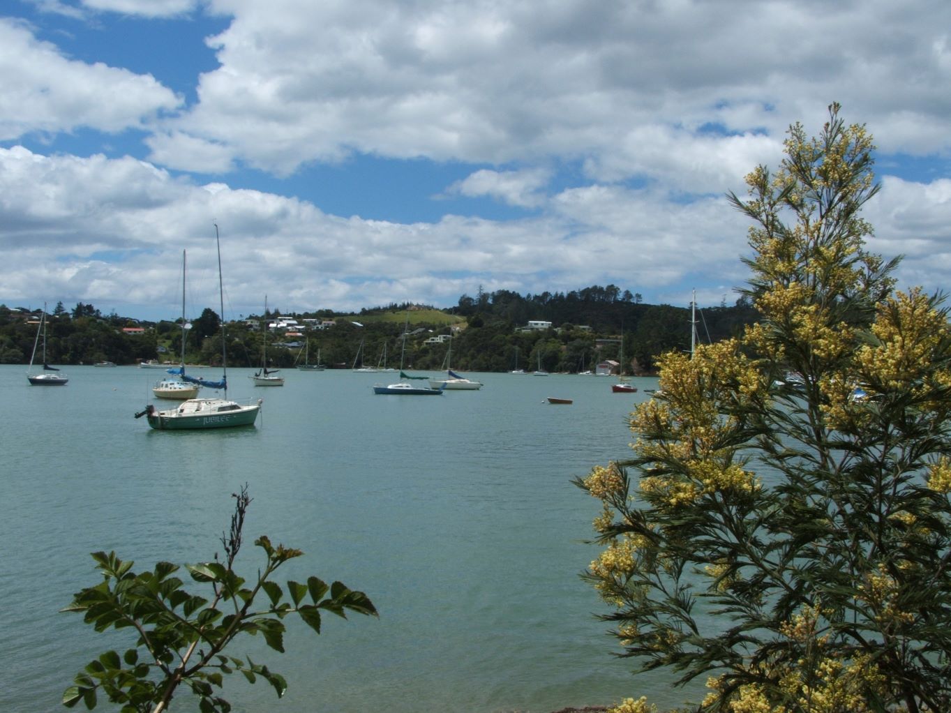 More beautiful scenery from Northland.
