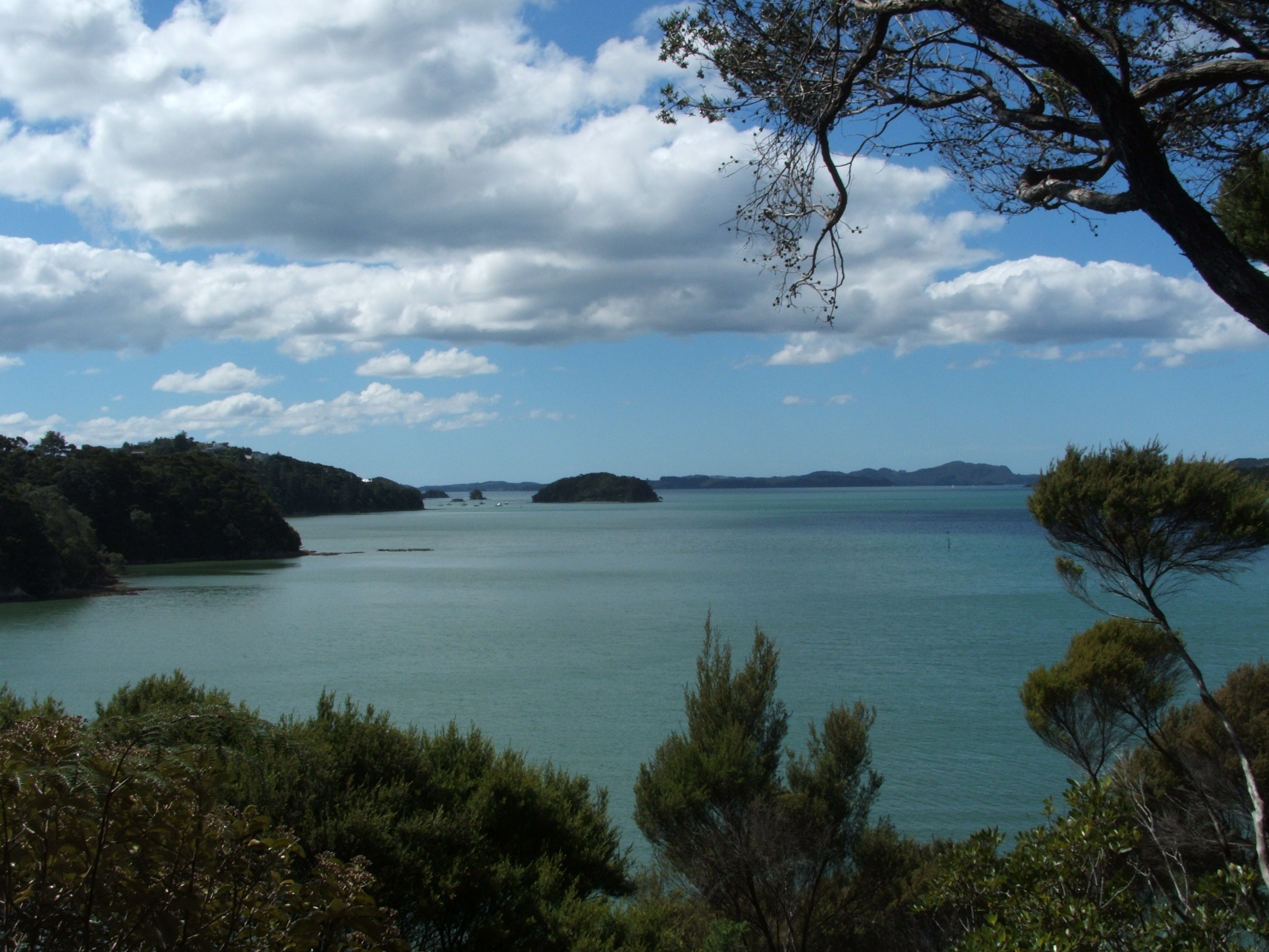 More beautiful scenery from Northland.
