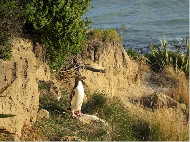 It was amazing to get so close to them.
