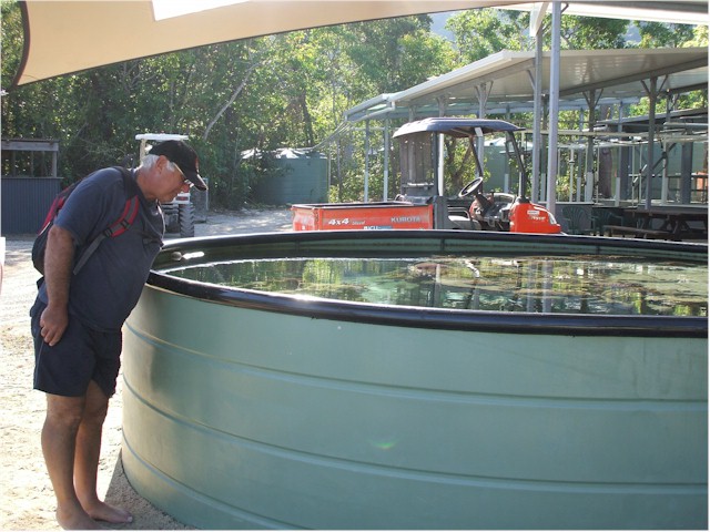 Orpheus Island is home to a Great Barrier Reef research facility run by James Cook University
