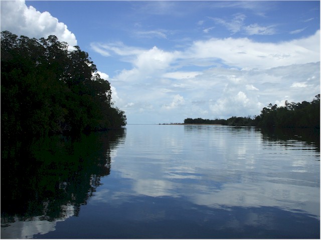 
We were able to explore one of the streams by dinghy, keeping a careful watch for crocs...
