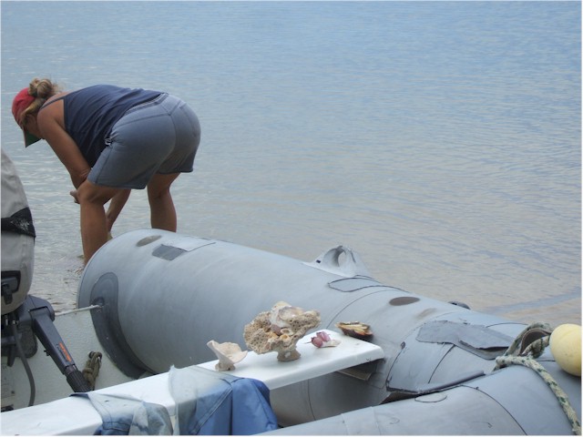 
The beaches were strewn with shells and we collected some magnificent examples.
