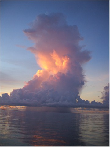 
The afternoon thunderstorms were becoming rather too regular!
