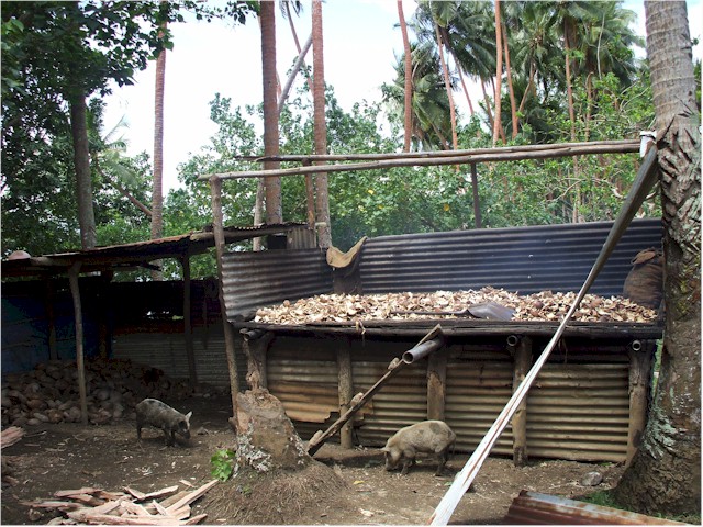 Copra drying shed - copra is the main cash crop in Vanuatu - and all villages have their own drying sheds.

