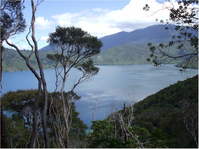 The views are tremendous.
