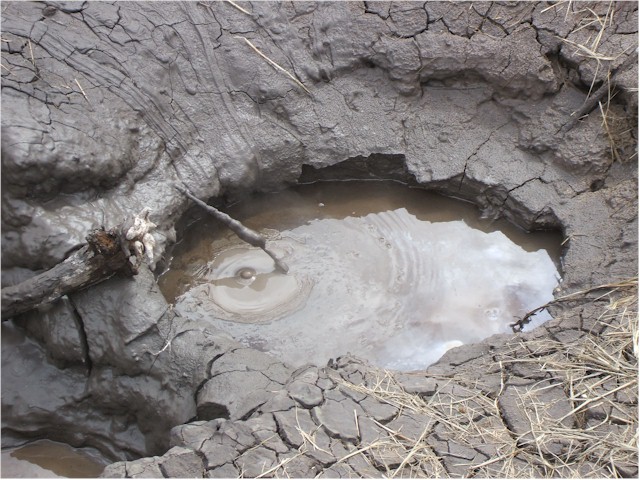 
A boiling mud pool - they are very difficult to photograph due to the rising steam!