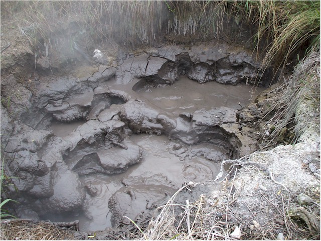 
A boiling mud pool - they are very difficult to photograph due to the rising steam!