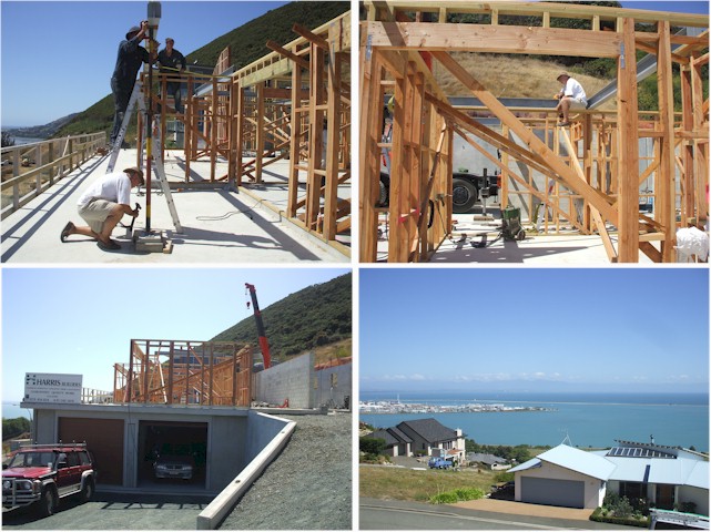 ... and the magnificent house they are building!
