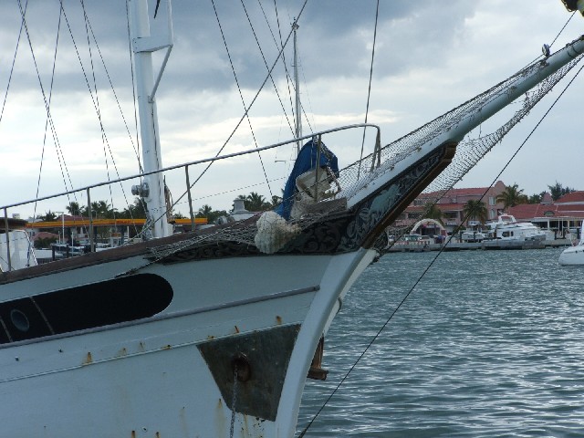 A dog cooling off on the bowsprit safety netting of a neighbouring yacht.

