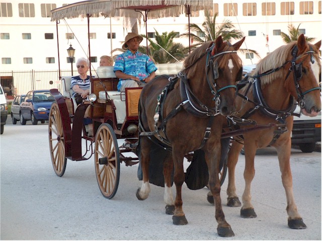 
The horse and bugggy tours available to the cruise ship passengers...
