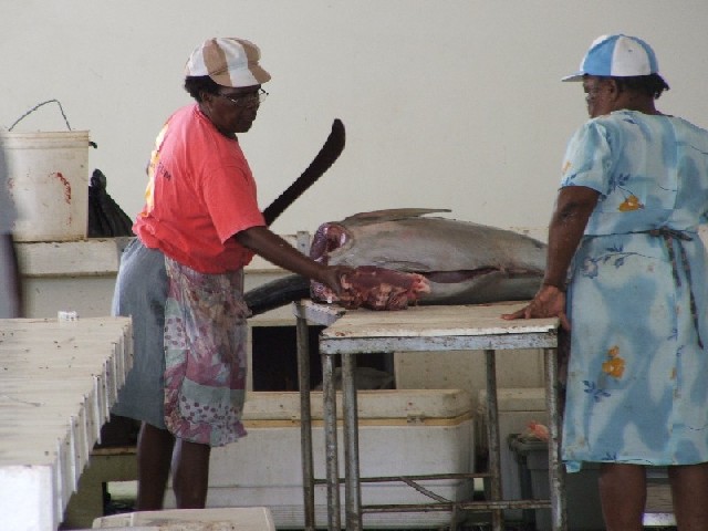 The ladies deal with a yellow fin tuna.
