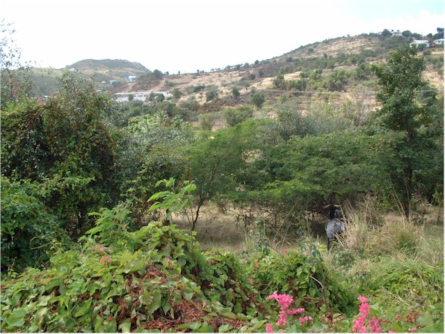 Inland, the island is very typical...