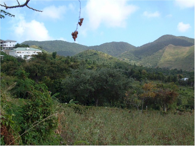 Inland, the island is very typical...