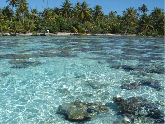 Tahaa - the coral was quite superb.