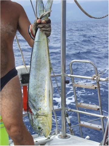 
We manage to get away for a few days while waiting for our autopilot - and catch a mahi mahi.
