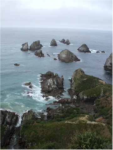 The Catlins Coast is a magnificent region with coastal as well as inland walks...
