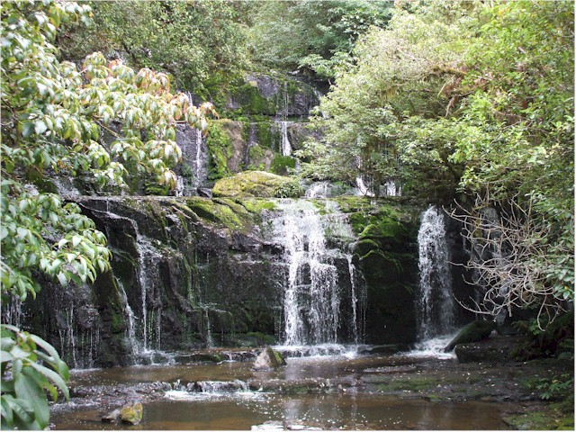 We enjoyed some lovely walks in the Catlins...
