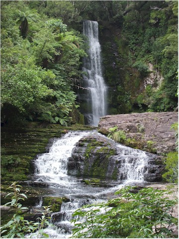 We enjoyed some lovely walks in the Catlins...
