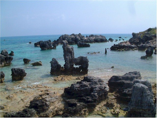 Some of the coral looked pretty dead, though.
