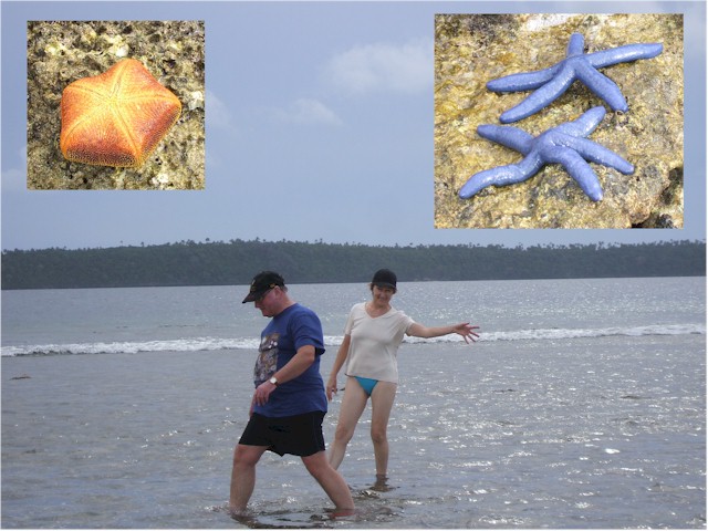 and get to explore the reef at low water.
