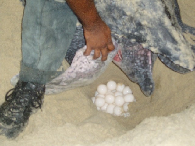 ... and there are so many of them...
