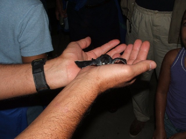 ... hopefully this little one will make it!
