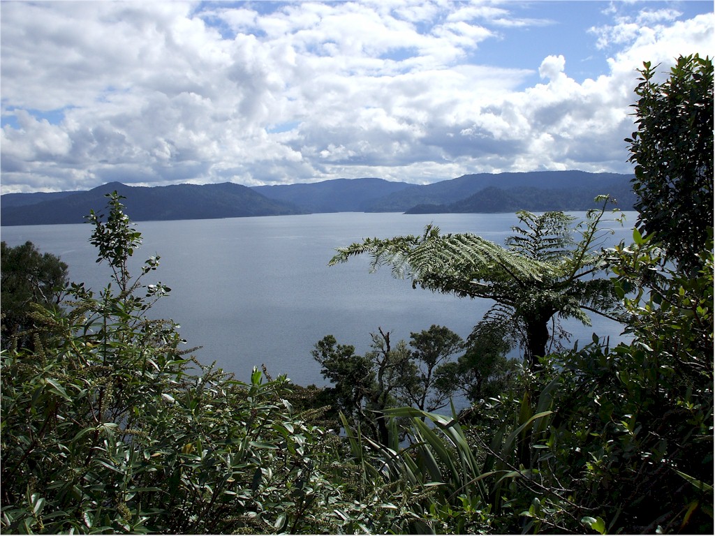 The Urewera National Park is a vast unspoilt area...