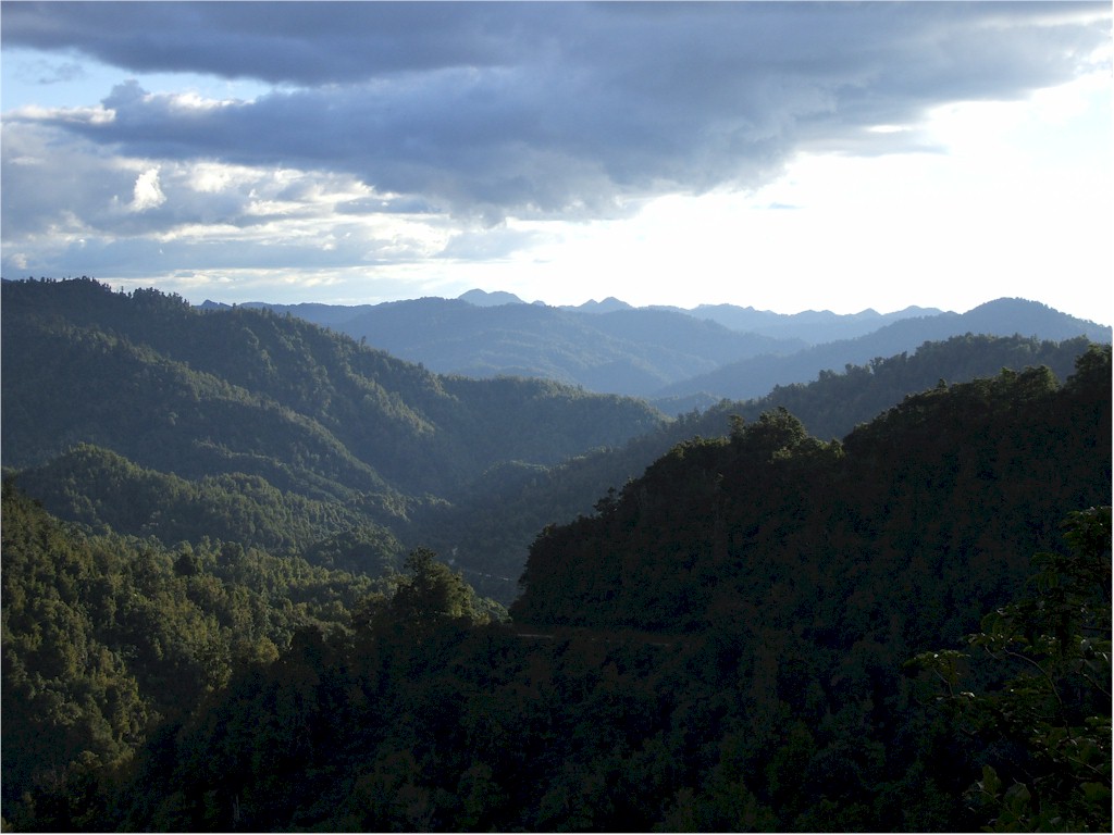 The Urewera National Park is a vast unspoilt area...
