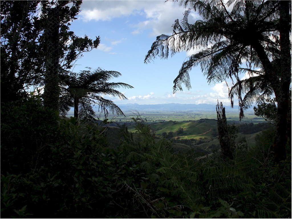 The Urewera National Park is a vast unspoilt area...